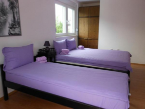 Apartman Savić